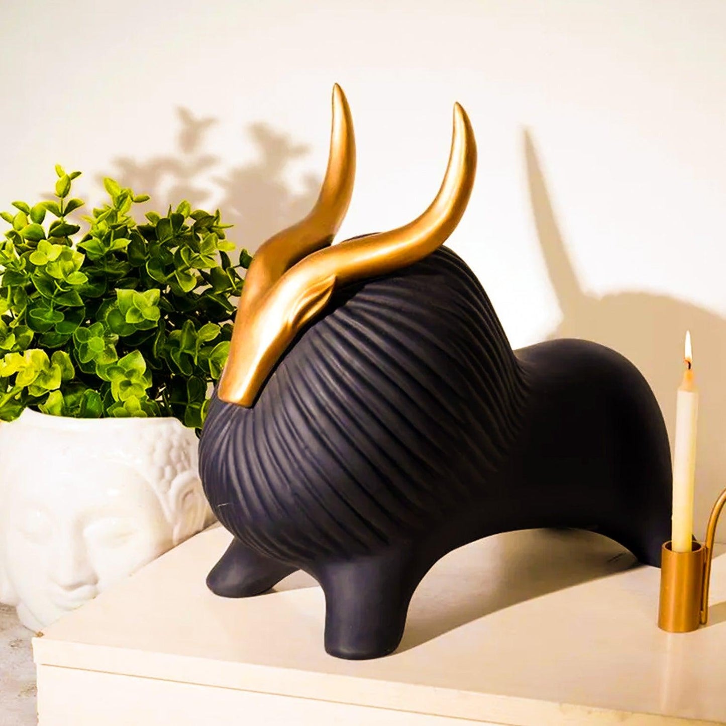 Yak (Black) - Allure Box