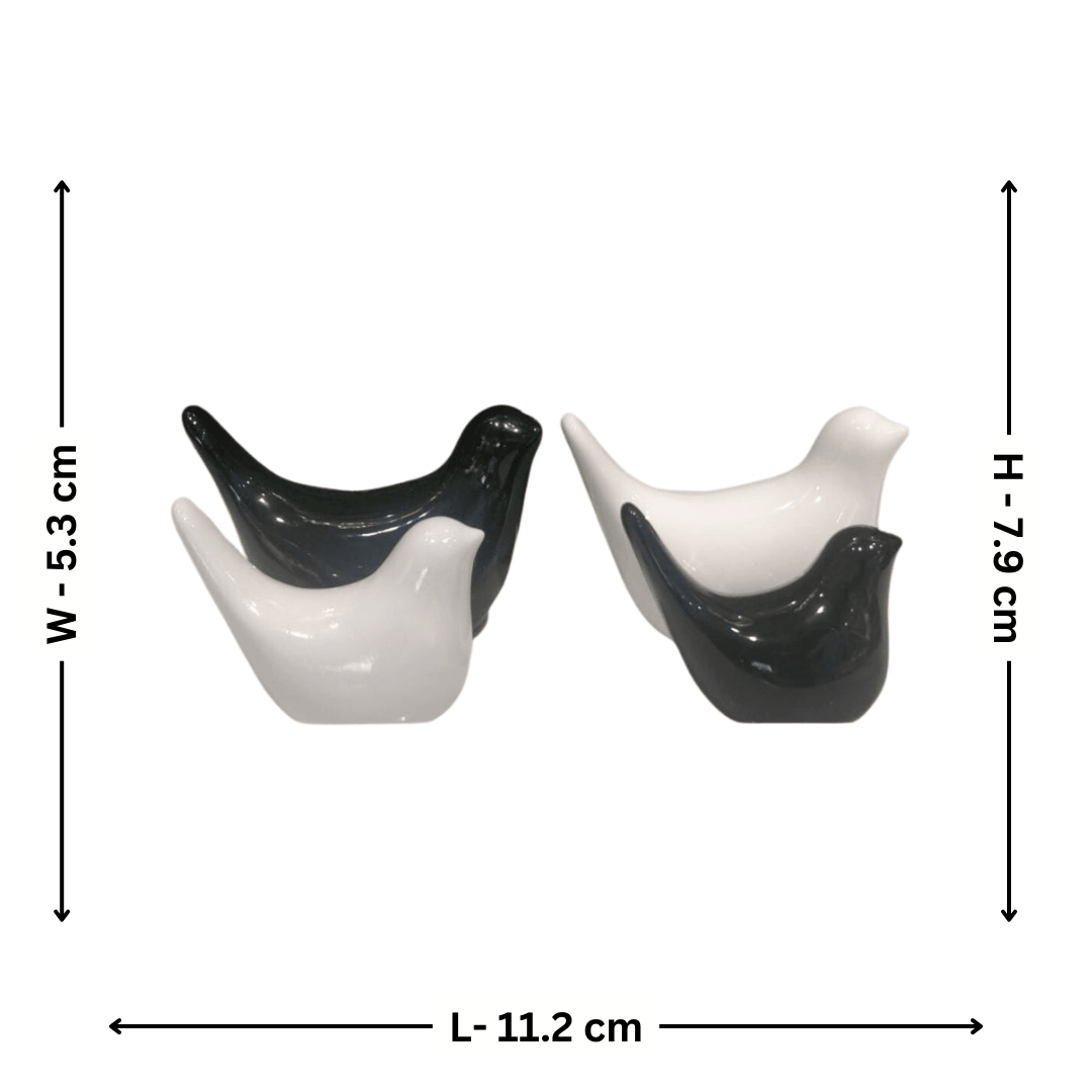 Black And White Glossy Birds - Allure Box