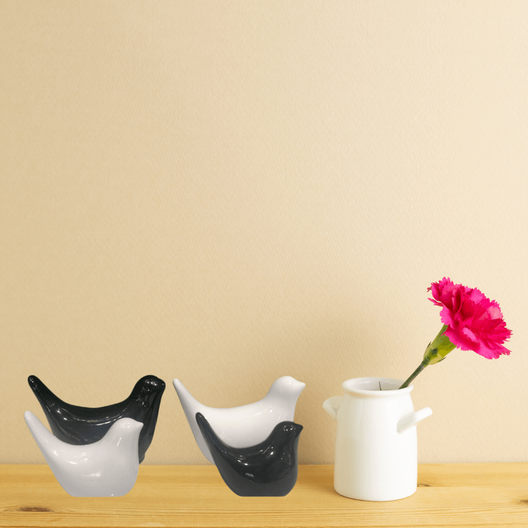 Black And White Glossy Birds - Allure Box