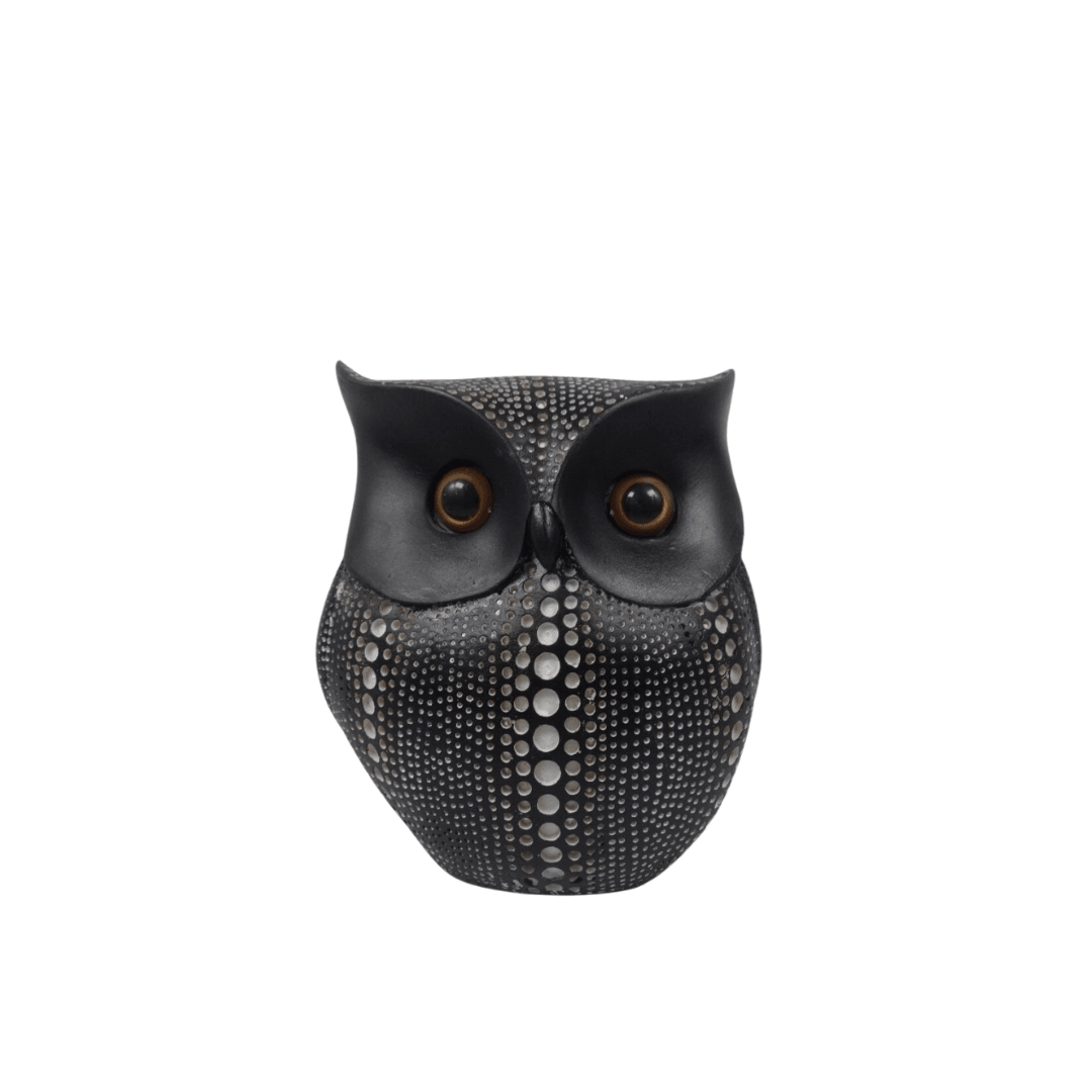 Black Owl - Allure Box