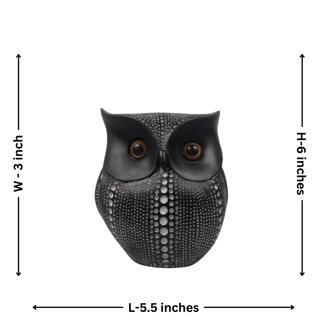 Black Owl - Allure Box