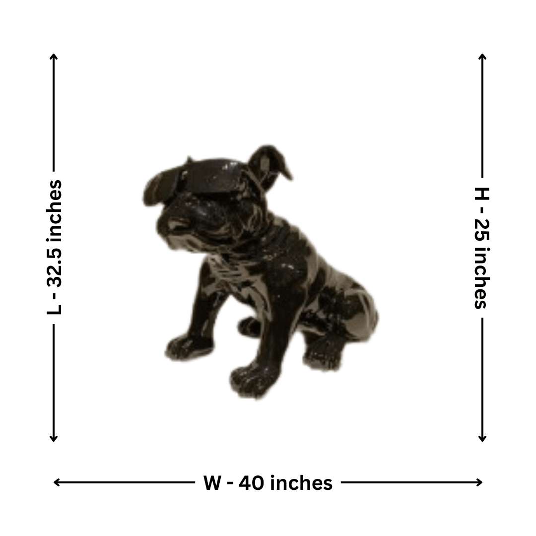 Sauve Dog (Black) - Allure Box