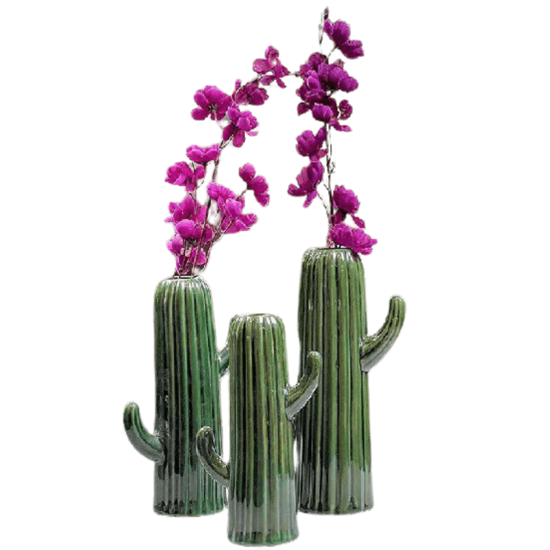 Ceramic Cactus Vase - Allure Box