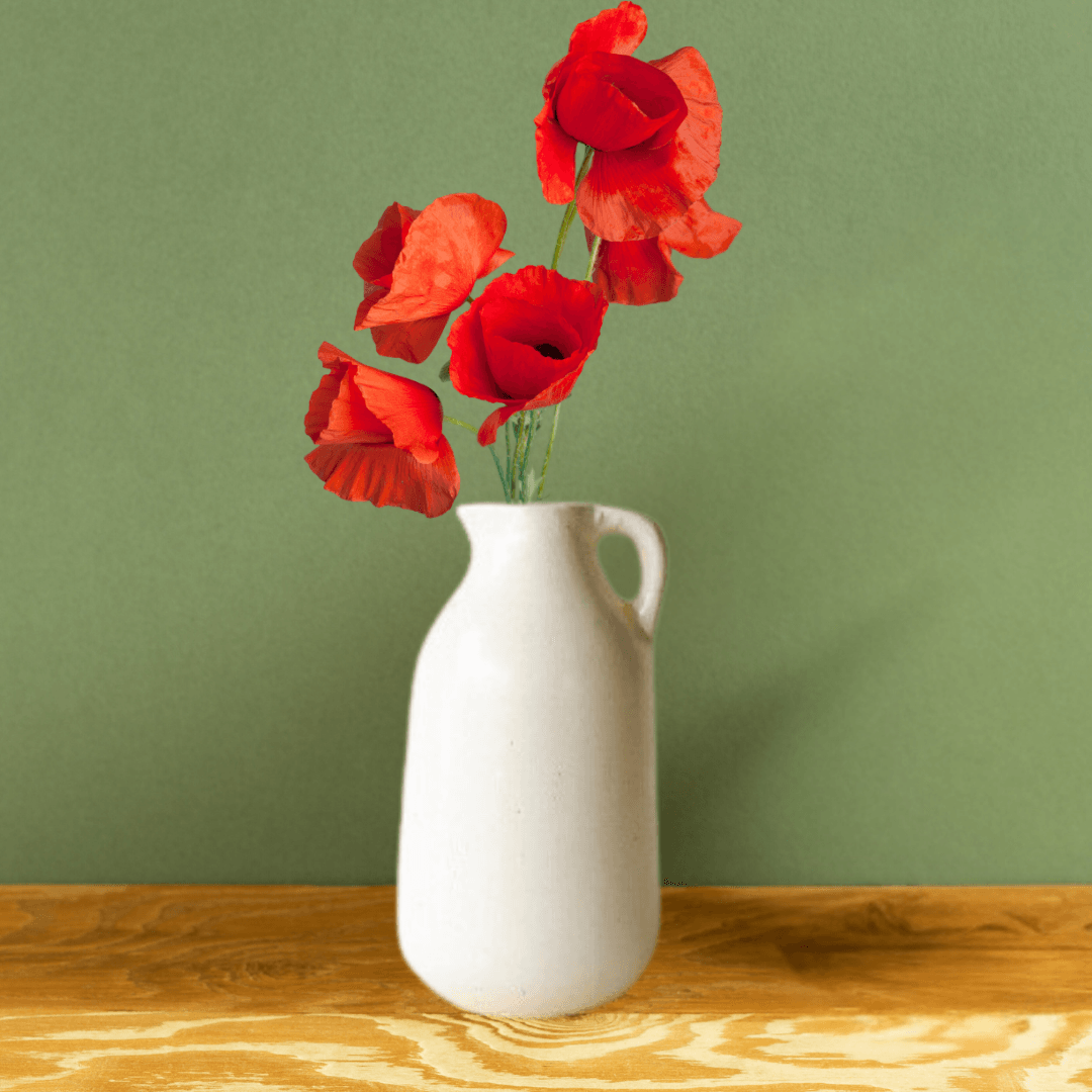 Ceramic Jug Shape Vase - Allure Box