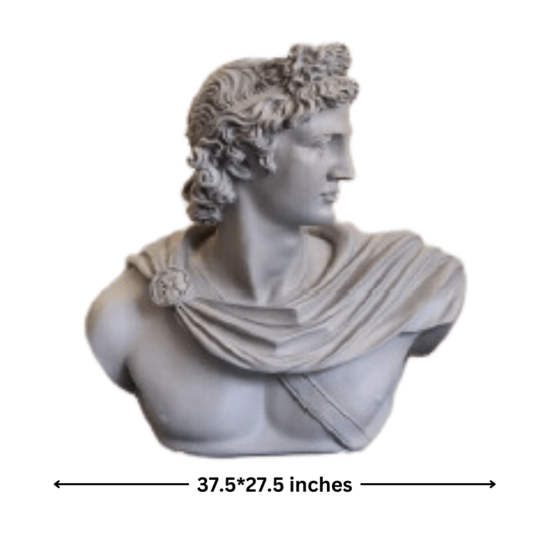 David (Grey) - Allure Box